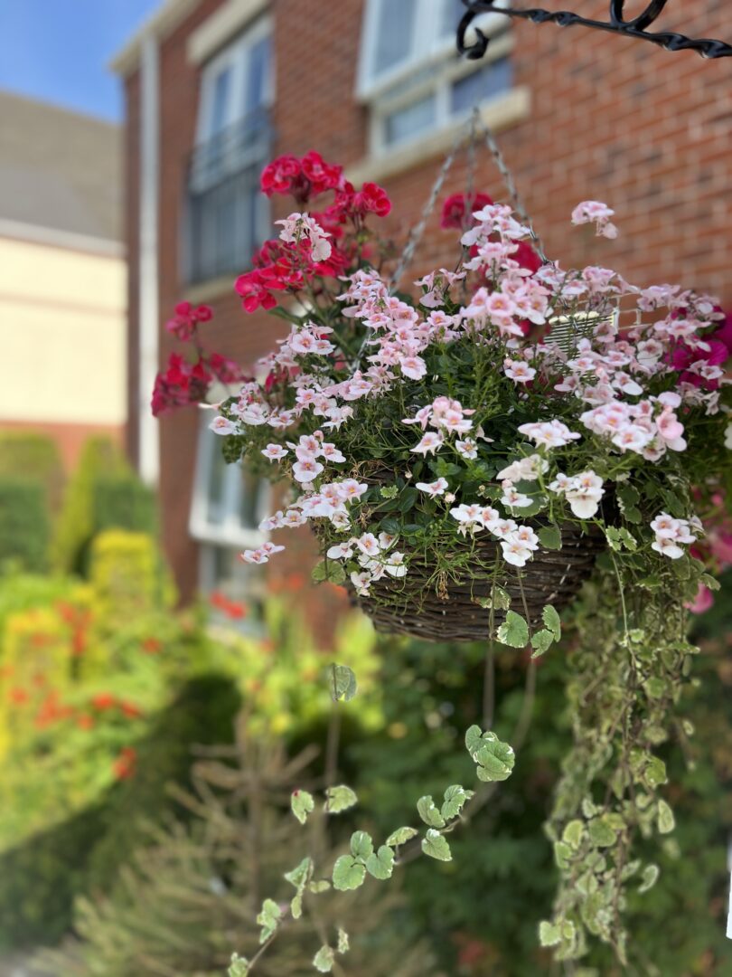 Double success for Buckshaw Retirement Village in HICA in Bloom